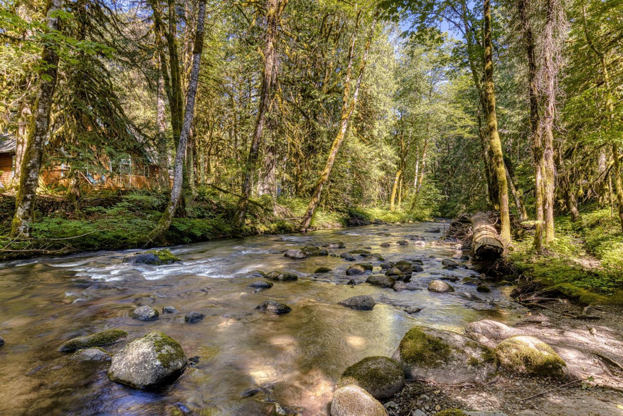 Salmon River Lodge Welches Dış mekan fotoğraf