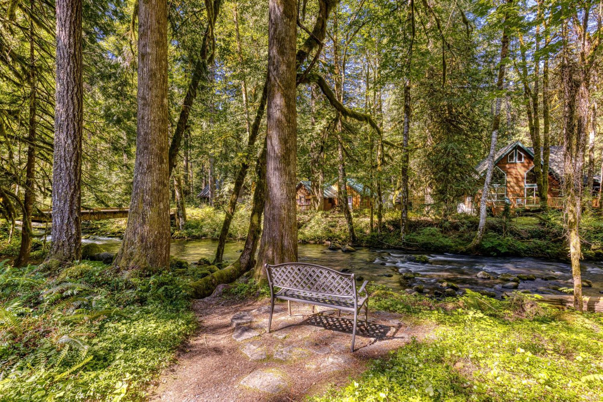 Salmon River Lodge Welches Dış mekan fotoğraf